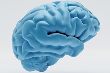 Brain with a blue design showing TRB Chemedica neurology area