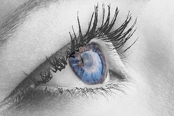 Blue eye showing TRB Chemedica Ophthalmology area